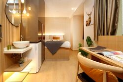 Mount Elizabeth Link (D9), Apartment #513878781